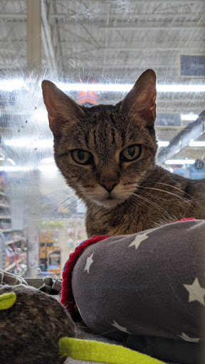 Pet Supply Store «PetSmart», reviews and photos, 367 Mt Hope Ave, Rockaway, NJ 07866, USA