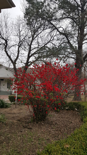 Tourist Attraction «Chestnut Square Historic Village», reviews and photos, 315 S Chestnut St, McKinney, TX 75069, USA