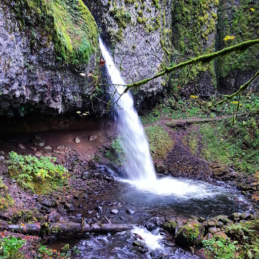 Waterfall «Horsetail Falls», reviews and photos, Historic Columbia River Hwy, Cascade Locks, OR 97014, USA
