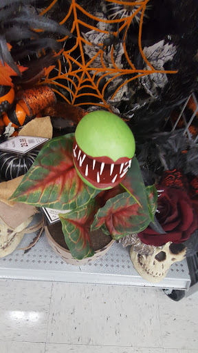 Craft Store «Michaels», reviews and photos, 1856 Wentzville Pkwy, Wentzville, MO 63385, USA