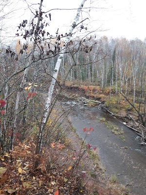 Lester Park Mountain Bike Trails Trailhead - photo 9