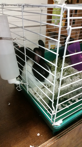 Pet Supply Store «Saluda River Pet», reviews and photos, 130 Robin Helton Dr, Boiling Springs, SC 29316, USA