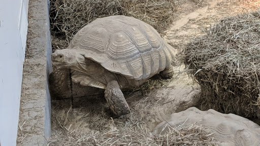 Pet Supply Store «Living Things», reviews and photos, 3437 PA-309, Orefield, PA 18069, USA