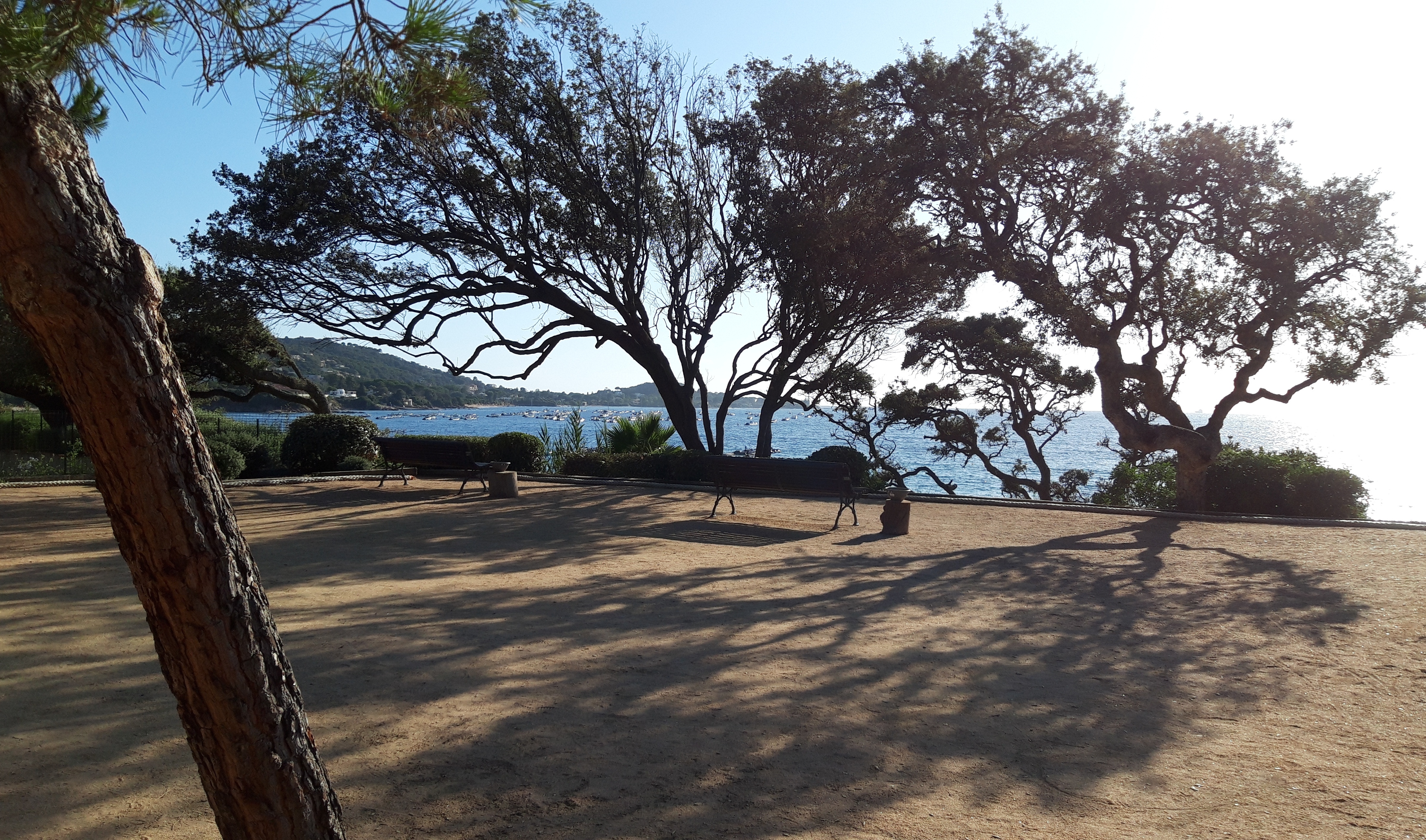 Photo n° 9 de l'avis de Sandy.i fait le 09/09/2019 à 16:22