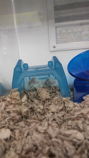 Pet Supply Store «Petco Animal Supplies», reviews and photos, 7215 170th Ave NE #115, Redmond, WA 98052, USA