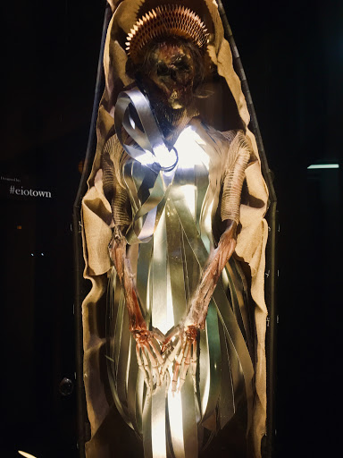 Thrift Store «Out of the Closet West Hollywood», reviews and photos, 8224 California Route 2, West Hollywood, CA 90046, USA