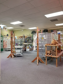 Parrotzville The Bird Store/ surrender - Photo 3 - Car repair in Clinton Twp, MI, Warren