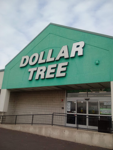 Dollar Store «Dollar Tree», reviews and photos, 17510 S Halsted St b, Homewood, IL 60430, USA