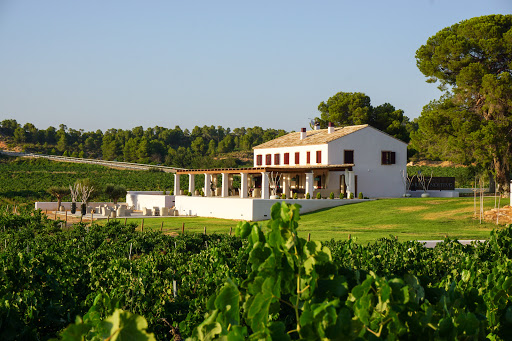 Bodegas Luis Corbí - Clos Cor Ví y Finca Cor Ví - N322, Km 431, 46354, Valencia