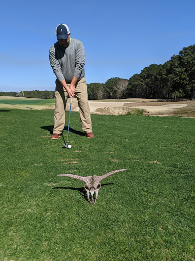 National Forest «Francis Marion National Forest», reviews and photos, 2967 Steed Creek Rd, Huger, SC 29450, USA