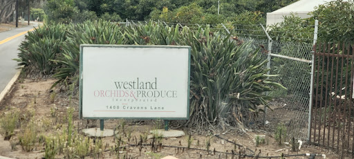 Westland Orchids, Inc.