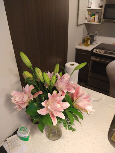 Florist «Chantilly Flowers», reviews and photos, 14514 Lee Rd E, Chantilly, VA 20151, USA