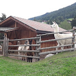 Photo n°4 de l'avis de Sandra.a fait le 04/08/2019 à 21:24 sur le  Hotel Torgglerhof bei Brixen à Brixen