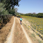 Photo n°3 de l'avis de Marta.o fait le 18/07/2021 à 12:38 sur le  Country House le Fiabe Numana à Numana