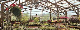 Nebraska Nursery & Color Gardens - Photo 3 - Car repair in Lincoln, NE, Lincoln