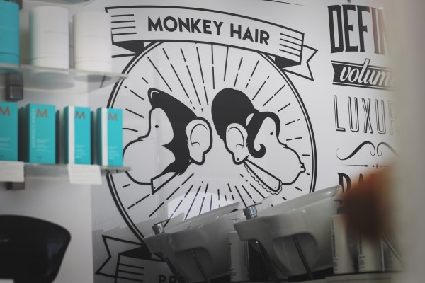 Comments and reviews of Monkey Hair Inc