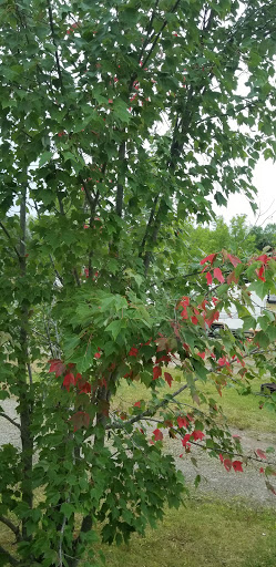 Resort «Bay Mills Resort & Casinos», reviews and photos, 11386 W Lakeshore Dr, Brimley, MI 49715, USA