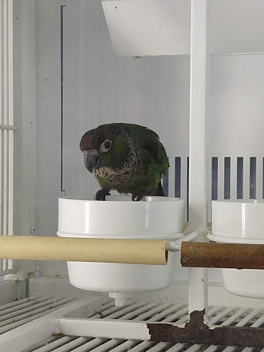 Pet Supply Store «Petco Animal Supplies», reviews and photos, 1800 E Franklin St #19, Chapel Hill, NC 27514, USA