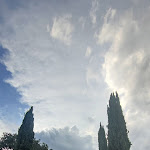 Photo n°5 de l'avis de Attilia.i fait le 17/08/2022 à 12:29 sur le  Isola Polvese Resort à Castiglione del Lago