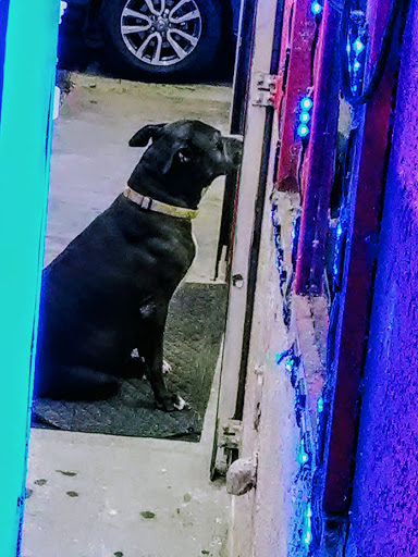 Grocery Store «Park Ridge Grocery», reviews and photos, 3792 Old Winter Garden Rd, Gotha, FL 34734, USA