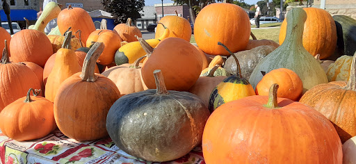 Vitamin & Supplements Store «Natures Way Health Food Store», reviews and photos, 18 E 7th St, Mountain Home, AR 72653, USA