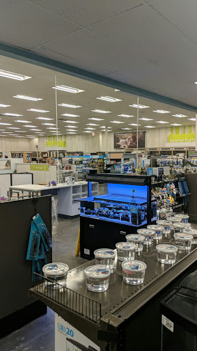 Pet Supply Store «Petco Animal Supplies», reviews and photos, 26501 Bouquet Canyon Rd, Saugus, CA 91350, USA