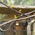 Photo n° 5 de l'avis de Eric.h fait le 13/10/2023 à 20:21 pour ZooParc de Beauval à Saint-Aignan