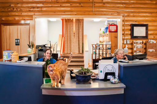 Chena Veterinary Clinic image