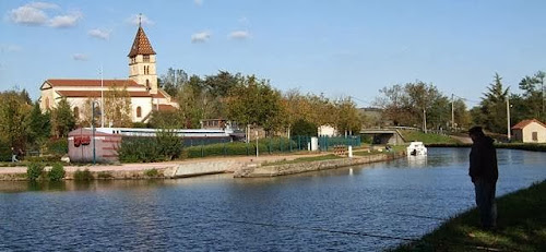 Le Pont des Anoures à Briennon