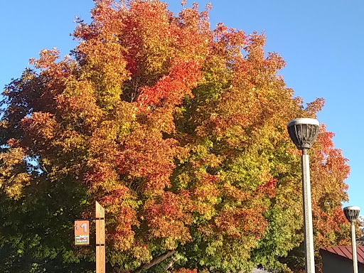 Market «Pybus Public Market», reviews and photos, 3 N Worthen St, Wenatchee, WA 98801, USA