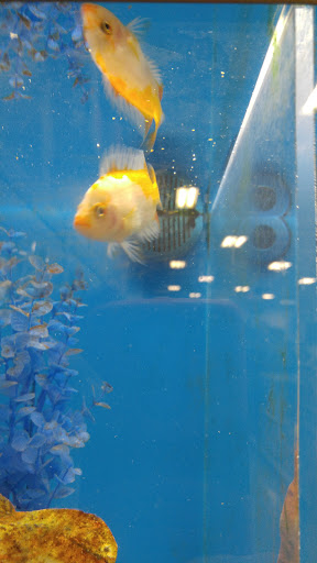 Pet Supply Store «PetSmart», reviews and photos, 144 Retail Commons Pkwy, Martinsburg, WV 25403, USA