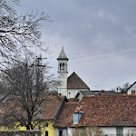 Photo n°2 de l'avis de Sabina.o fait le 24/03/2024 à 09:19 sur le  Bar Trattoria Monte Danda à Fielis