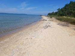 Foto von Elk Rapids Day Beach und die siedlung