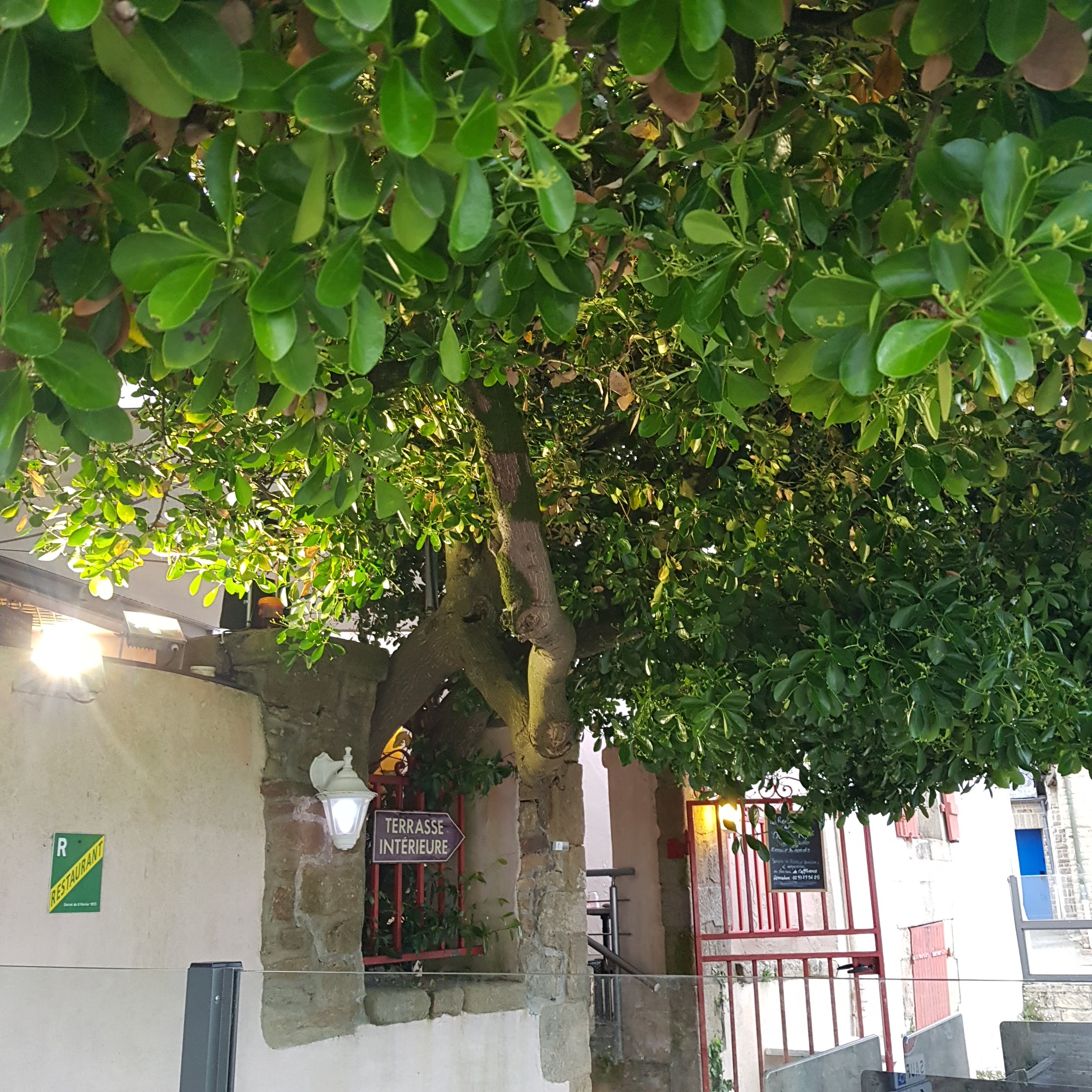 Photo n° 2 de l'avis de Manou.M fait le 15/05/2023 à 22:46