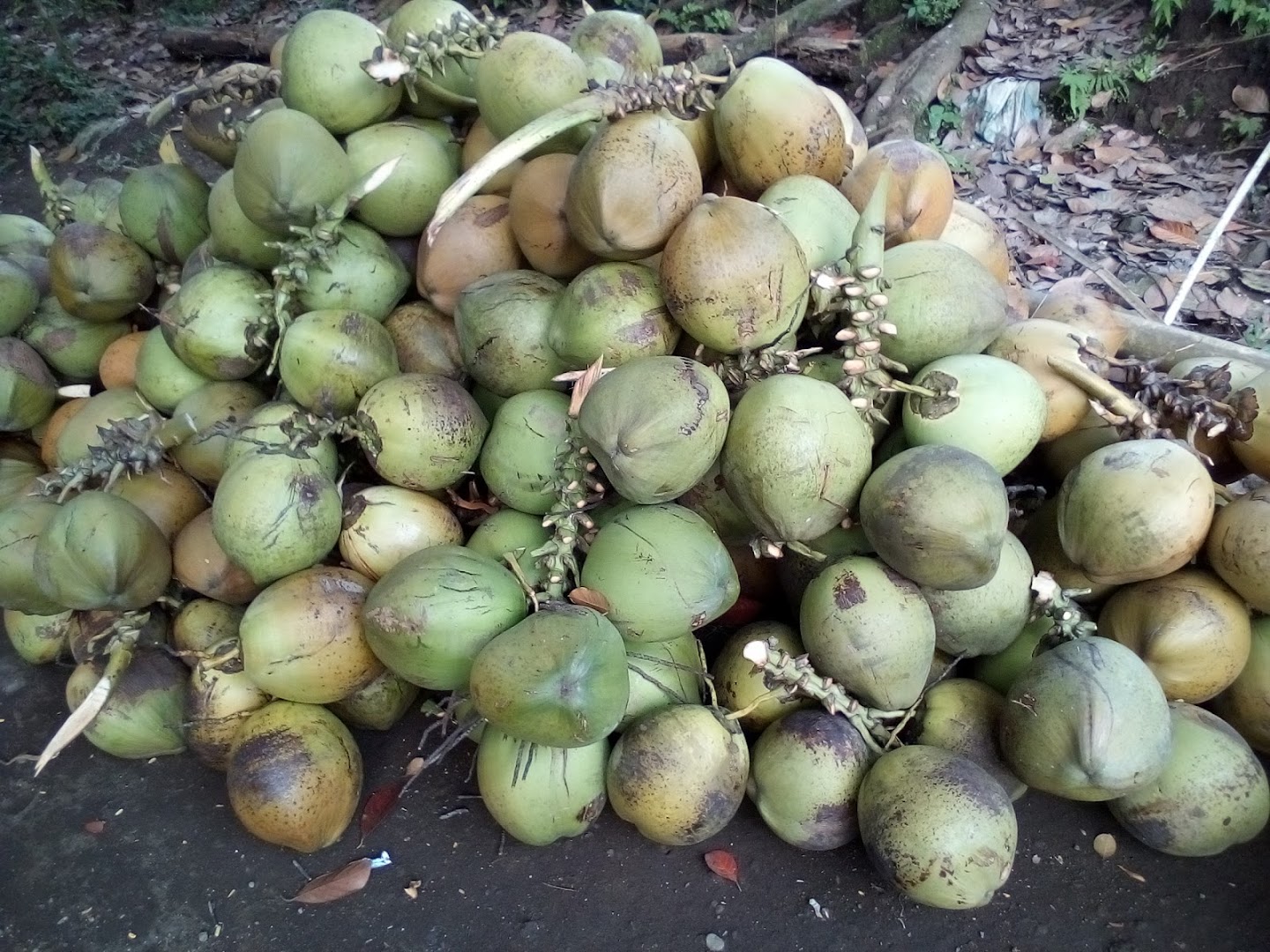 Gambar Mie Ayam Pusat Degan Ijo