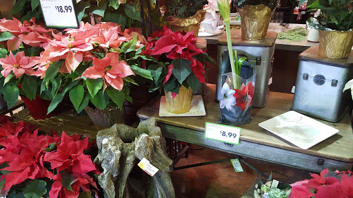 Grocery Store «Family Fresh Market», reviews and photos, 110 W 4th St, New Richmond, WI 54017, USA