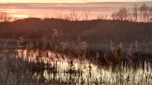 Nature Preserve «Raven Glen Forest Preserve», reviews and photos, 41080 US-45, Antioch, IL 60002, USA