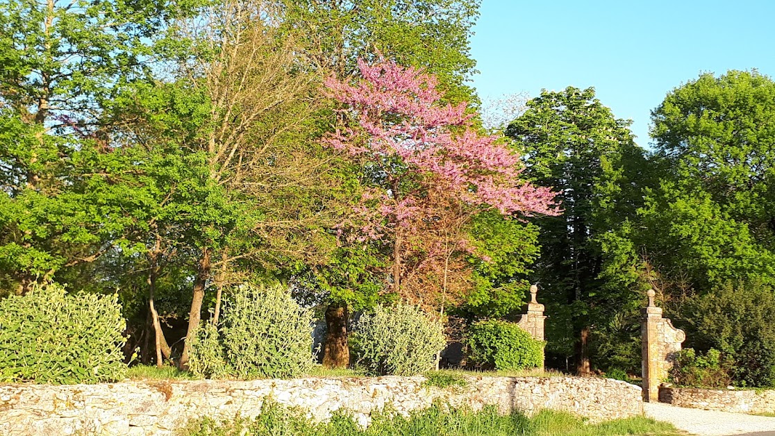 La Maisou - gites à Sérignac (Lot 46)