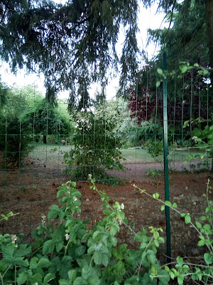 LA PRAIRIE DE LEONTINE à Mauléon