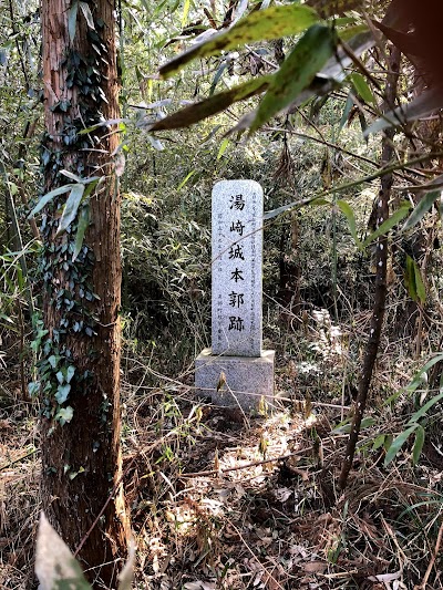 湯崎城 本郭跡