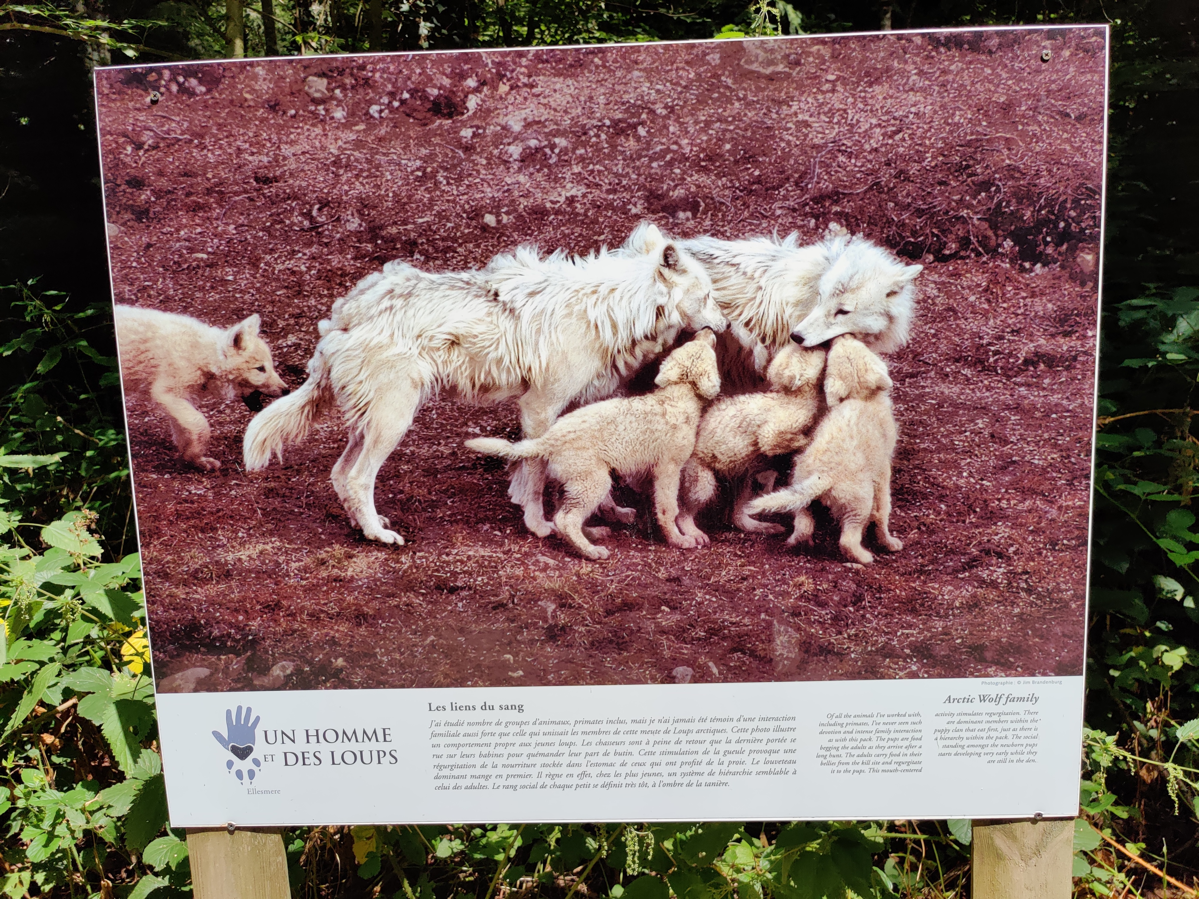 Photo n° 7 de l'avis de Julien.o fait le 14/08/2022 à 13:43