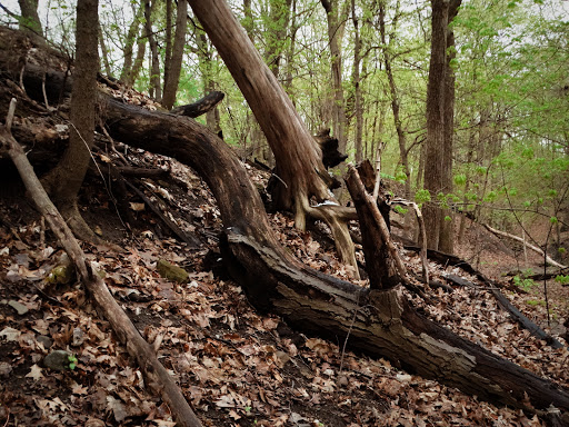 Park «Shadow Falls Park», reviews and photos, 30 N Mississippi River Blvd, St Paul, MN 55104, USA