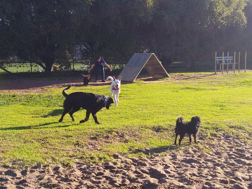 Inglewood Dog Park