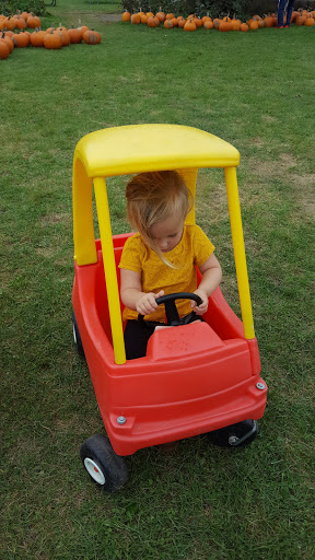 Produce Market «Kroul Farms», reviews and photos, 245 IA-1, Mt Vernon, IA 52314, USA