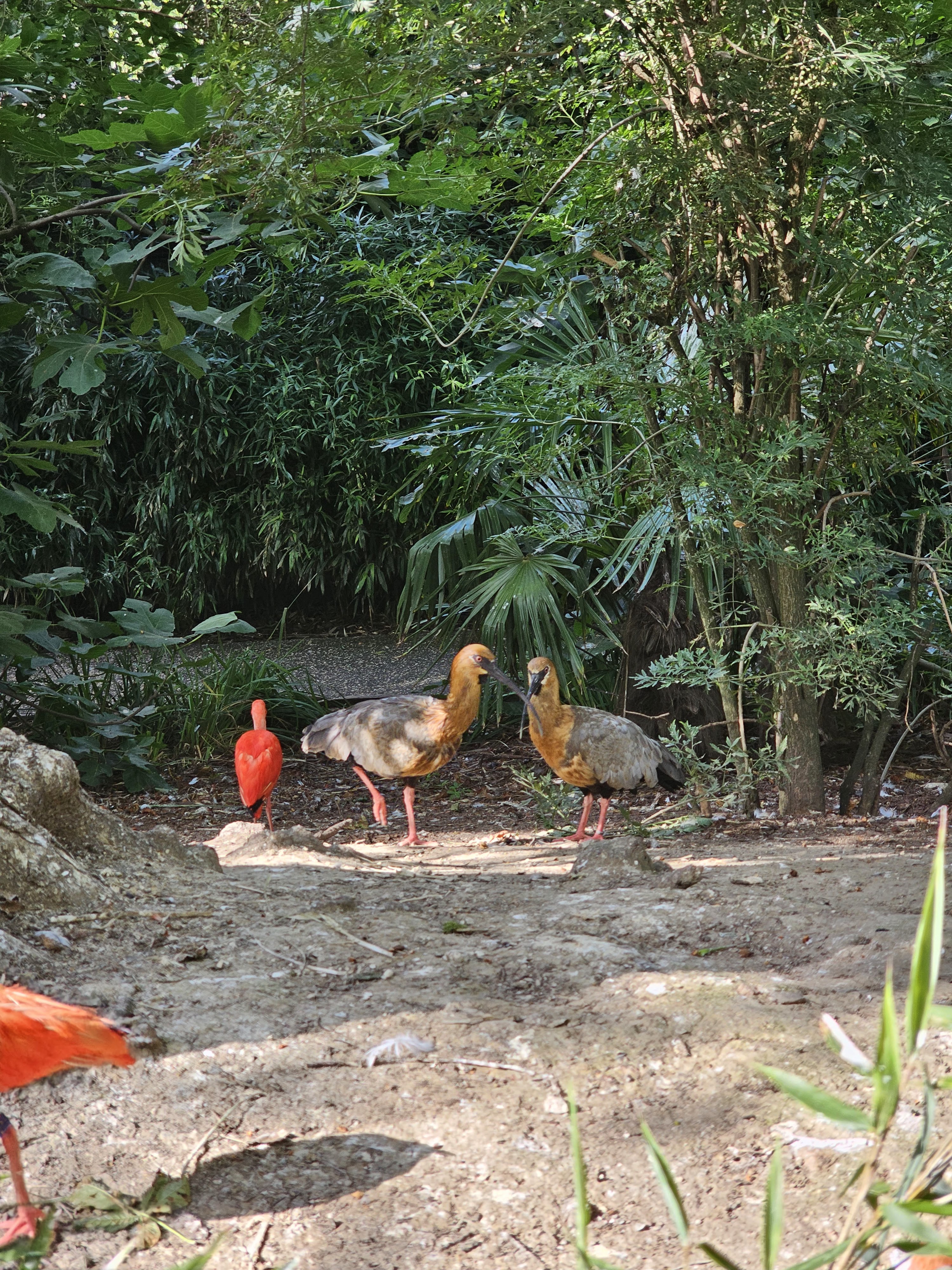 Photo n° 4 de l'avis de Marlene.U fait le 15/08/2023 à 20:08