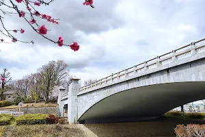 Minamiasakawa Bridge image