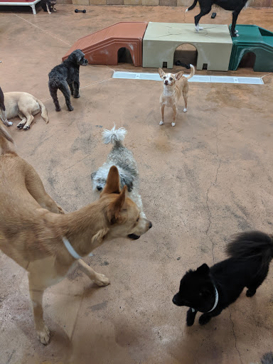 Pet Supply Store «PetSmart», reviews and photos, 3500 S Glenstone Ave, Springfield, MO 65804, USA