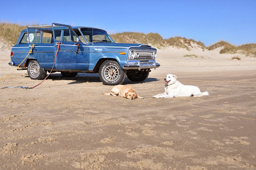 Coffee Shop «Dancing Turtle Coffee Shop», reviews and photos, 58079 NC-12, Hatteras, NC 27943, USA