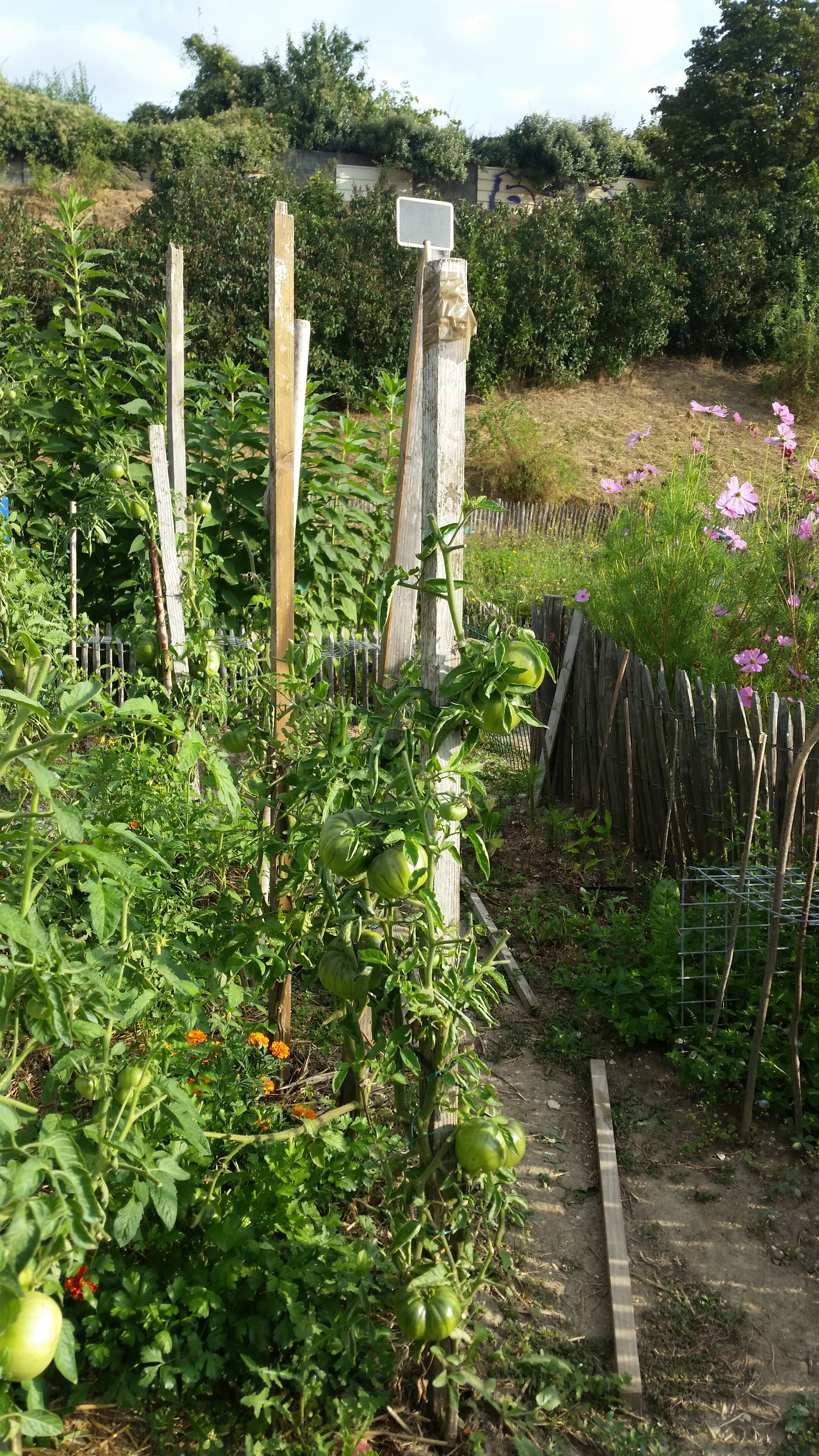 Photo n° 4 de l'avis de catherine.o fait le 01/09/2018 à 16:16