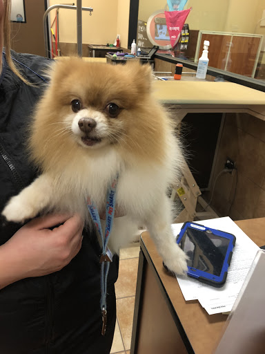 Pet Supply Store «PetSmart», reviews and photos, 745 W Huntington Dr, Monrovia, CA 91016, USA